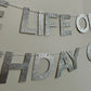 The Life of A Birthday Girl